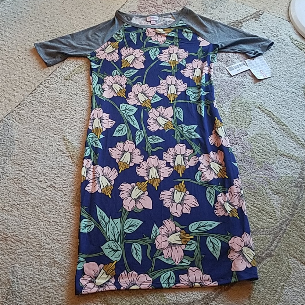 NWT! Lularoe Julia dress
